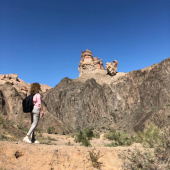 Аня Ваагновна