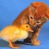 Сергей Захаров