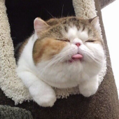 Андрей Филимонов