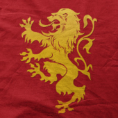 Денис Стародубцев