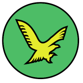 Павел Быстровывоз