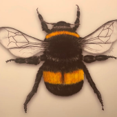 Илья Баранов