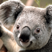 Михаил Воротников