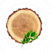 Aleksandr Kolesnichenko