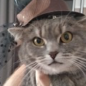 Дмитрий Ревякин